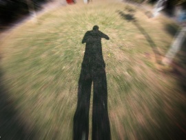 shadow_in_grass-t2 shadow_in_grass-t2