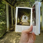 5 Reasons Why Books Aren’t Dying Out