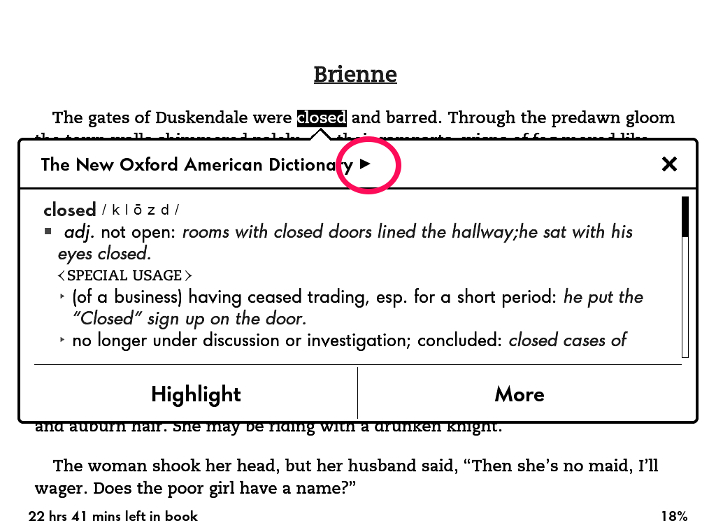 use dictionary in kindle app