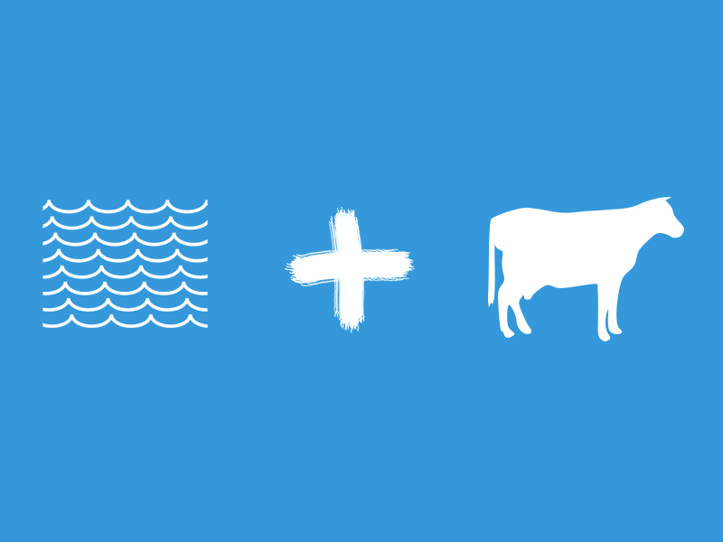 funny german animal "sea cow"