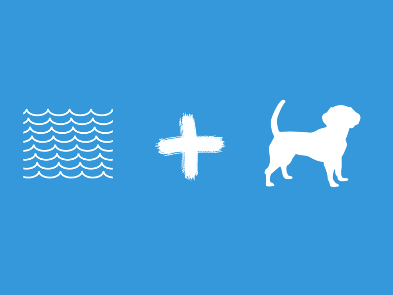 funny german animal "sea dog"