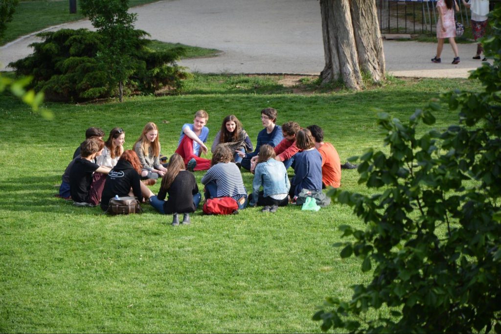 group of students sitting on green grass, daytime